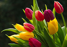 Another creative floral arrangement from Arjuna Florist & Design Shoppe