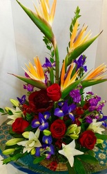 Exotic Expressions from Arjuna Florist in Brockport, NY