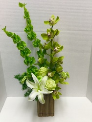 Green Expressions from Arjuna Florist in Brockport, NY