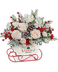  Teleflora's Winter Sleigh Bouquet from Arjuna Florist in Brockport, NY
