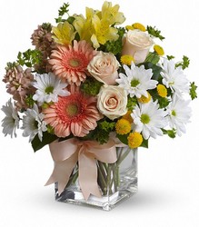 Teleflora's Walk in the Country Bouquet from Arjuna Florist in Brockport, NY