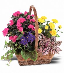 Blooming Garden Basket from Arjuna Florist in Brockport, NY