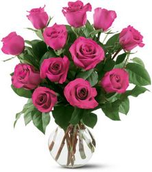 12 Hot Pink Roses from Arjuna Florist in Brockport, NY