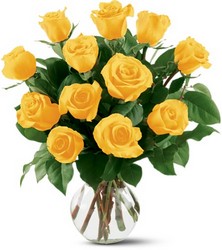 12 Yellow Roses from Arjuna Florist in Brockport, NY