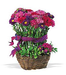 Basket of Smiles from Arjuna Florist in Brockport, NY