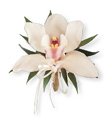 Cymbidium Orchid Corsage from Arjuna Florist in Brockport, NY