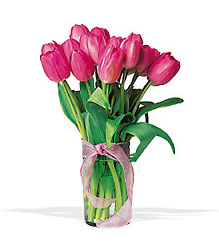 Pink Tulip Bouquet from Arjuna Florist in Brockport, NY