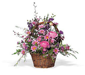 Basket of Spring from Arjuna Florist in Brockport, NY