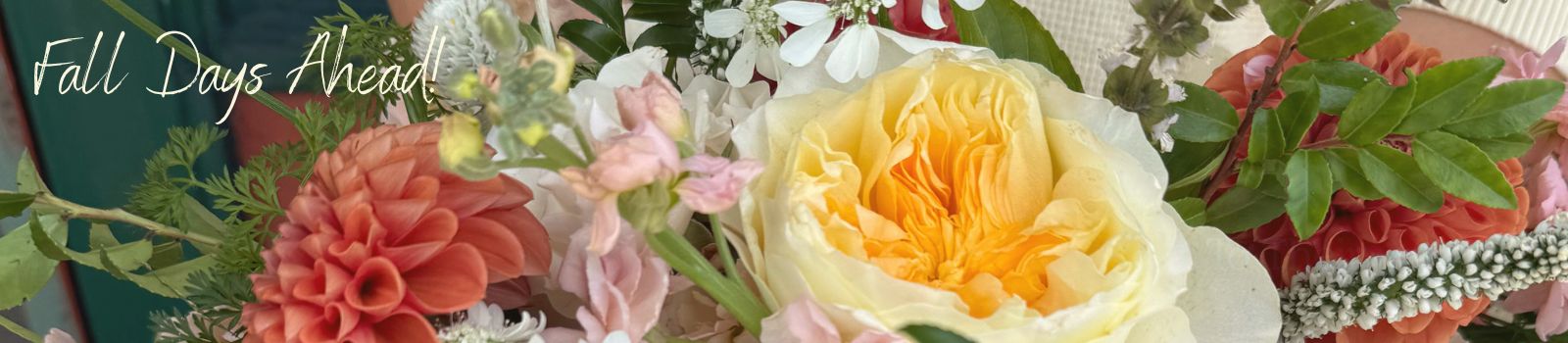 Embrace Autumn Colors with Flowers from Arjuna Florist in Brockport NY