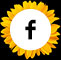 Like Arjuna Florist & Design on Facebook