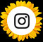 Follow Arjuna Florist & Design on Instagram