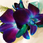 Corsages and Boutonnieres for all your special occasions 
