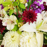 Express your heartfelt sympathy with beautiful flowers or a lush plant