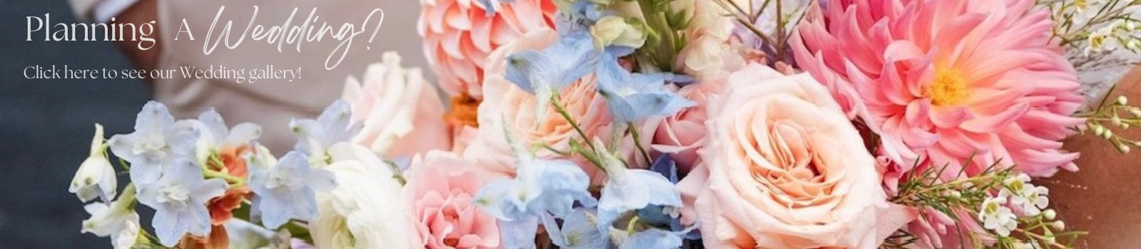 Planning a Wedding? Click here to see our Wedding Gallery!