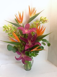 Hawaii Dreaming from Arjuna Florist in Brockport, NY