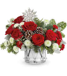 Little Drummer Joy from Arjuna Florist in Brockport, NY