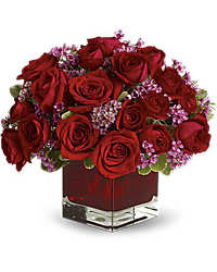 Teleflora's Never Let Go from Arjuna Florist in Brockport, NY