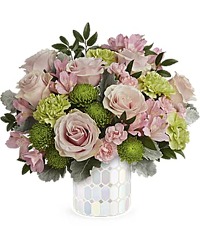 Teleflora's Pretty Pop Bouquet from Arjuna Florist in Brockport, NY