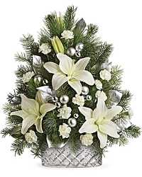 Teleflora's Sparkling Silver Tree from Arjuna Florist in Brockport, NY