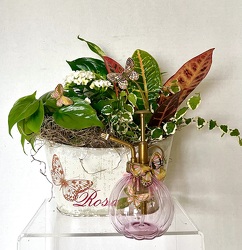 The Butterfly Blooming Garden from Arjuna Florist in Brockport, NY