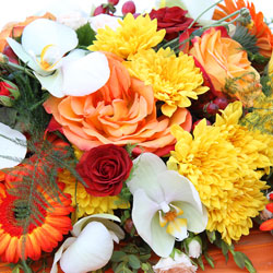 Designer's Special from Arjuna Florist in Brockport, NY