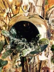Silver Ornaments with Frosted Greens from Arjuna Florist in Brockport, NY