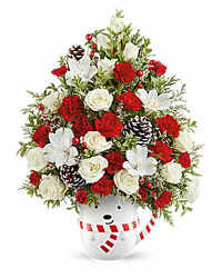 Snowy Lane Tree from Arjuna Florist in Brockport, NY