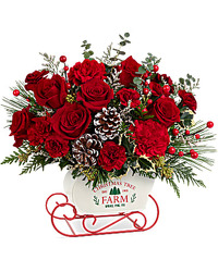 Teleflora's Snow What Fun Bouquet from Arjuna Florist in Brockport, NY