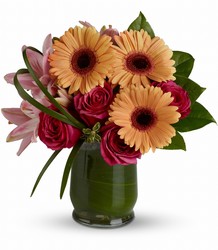 Be a Flirt from Arjuna Florist in Brockport, NY