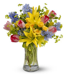 Spring Delight from Arjuna Florist in Brockport, NY