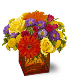 Another Year Bolder from Arjuna Florist in Brockport, NY