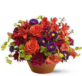 Autumn Celebration from Arjuna Florist in Brockport, NY