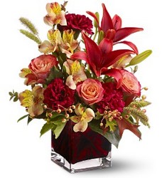 Early Autumn from Arjuna Florist in Brockport, NY