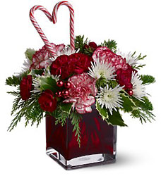 Holiday Sweetheart from Arjuna Florist in Brockport, NY