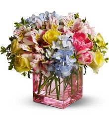 Teleflora's Spring Sweetness from Arjuna Florist in Brockport, NY