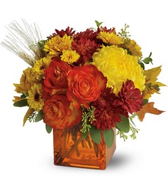 Teleflora's Autumn Expression from Arjuna Florist in Brockport, NY
