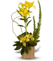 Bamboo Tropics from Arjuna Florist in Brockport, NY