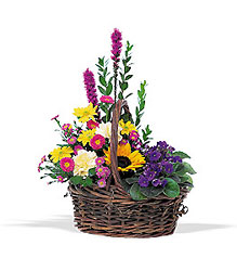 Basket of Glory from Arjuna Florist in Brockport, NY