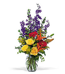 Colorful Sensation from Arjuna Florist in Brockport, NY