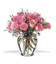 Pretty Pink Roses from Arjuna Florist in Brockport, NY