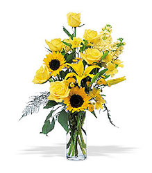 Blazing Sunshine from Arjuna Florist in Brockport, NY