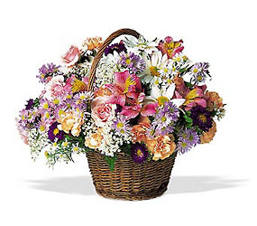 Country Days from Arjuna Florist in Brockport, NY