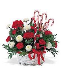 Candy Cane Basket from Arjuna Florist in Brockport, NY